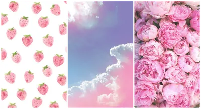 Картинки цветов на аву (58 лучших фото)