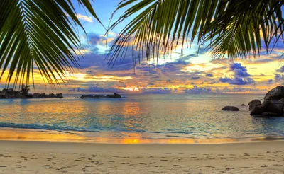 Море солнце пальмы - красивые фото