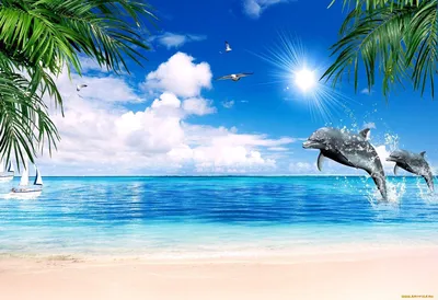 Картинки на телефон лето,пальмы,красивые виды. | Обои на телефон пальмы ,песок,море. | Постила