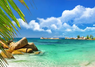 Гавайи - Пальмы и пляжи курорта - Природа
