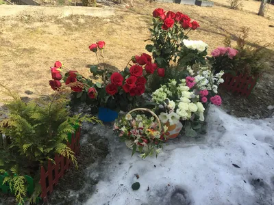 Букет роз на снегу - 69 фото