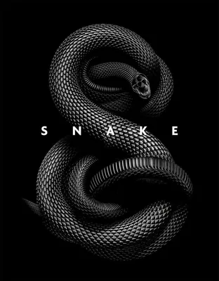 Черная змея обои - 59 фото