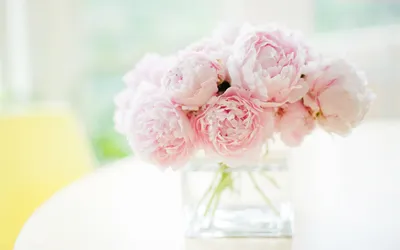 Нежно розовые пионы в вазе обои для рабочего стола, картинки и фото -  RabStol.net
