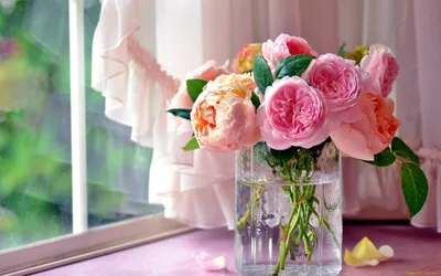 Обои на рабочий стол нежные цветы - красивые фото