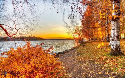 Осень - красивые картинки (100 фото) • Прикольные картинки и позитив