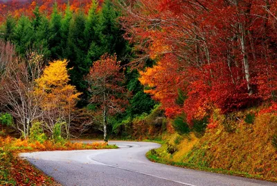 Красивая природа осень - фото и картинки: 59 штук