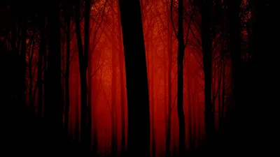 Обои Кровавый лес, картинки - Обои для рабочего стола Кровавый лес фото из  альбома: (природа)
