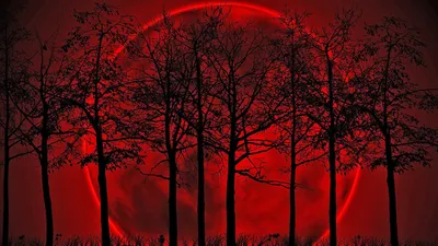Деревья на фоне кровавой луны Обои для рабочего стола 1920x1080