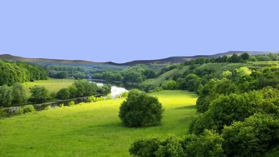 Яркая летняя поляна - обои для рабочего стола, картинки, фото