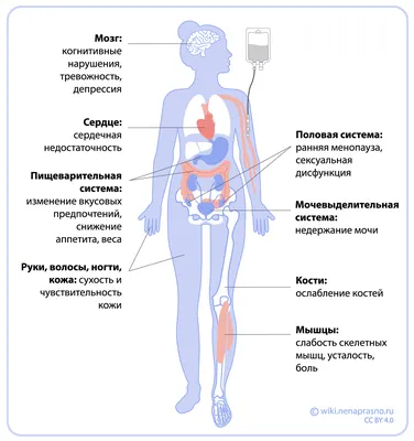 Лимфедема (лимфостаз): симптомы, причины, диагностика, чем опасна, цены на  лечение лимфедемы