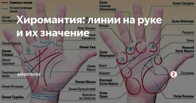 Хиромантия для начинающих: что означают линии на запястье - Оракул -  info.sibnet.ru