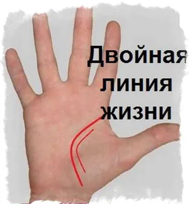 Линии на руке: значение, описание