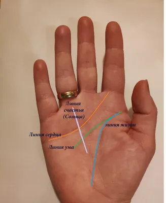 виды ЛИНИИ БРАКА / хиромантия / Кладезь Хиромантии / Часть 5 | Кладезь  Хиромантии | Дзен