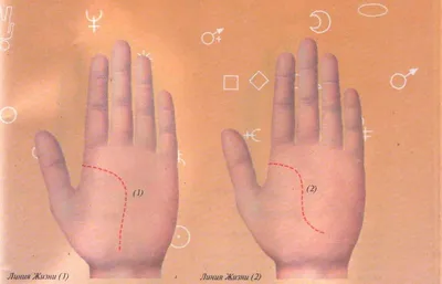 Изменить судьбу, предсказать рождение и определить точную дату смерти:  откровения ростовского хироманта о том, что можно и нельзя определить по  линиям на руке - KP.RU