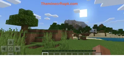 Android Minecraft always shows as Steve - Arqade