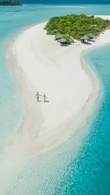 Картинка Bungalow Hotel and Villa on Maldives для телефона и на рабочий  стол iPhone 12 Pro