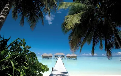 Beach in the Maldives - Mobile Abyss