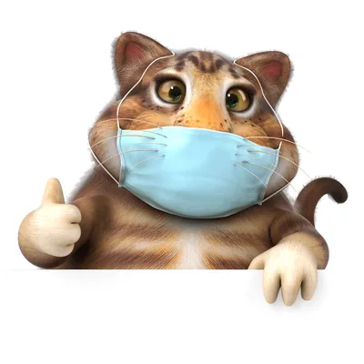 Аватарка Кот в Маске Медицинской - Прикольная Картинка
