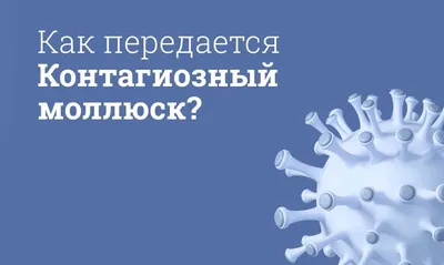 Удаление контагиозного моллюска криодеструкцией в Нижнем Новгороде