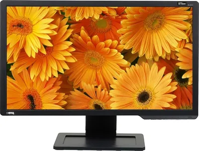 Отзывы на Монитор BenQ Zowie XL2411 3D, 24\", серый [bq9h.lellb.rbe] в  интернет-магазине СИТИЛИНК (386361)