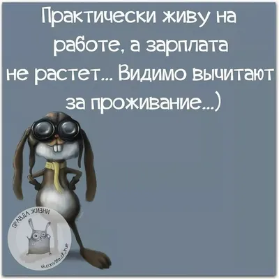 Приколы нашего офиса / приколы на работе :: работа :: приколы :: смешно ::  смешные картинки (фото приколы) :: смешные надписи / смешные картинки и  другие приколы: комиксы, гиф анимация, видео, лучший интеллектуальный юмор.