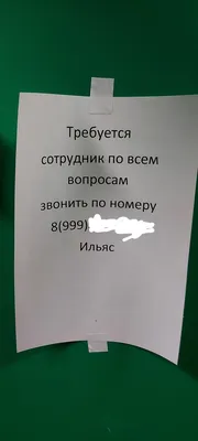 Работа: истории из жизни, советы, новости, юмор и картинки — Все посты |  Пикабу