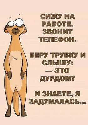 Более 100 мотивационных цитат для поощрения совместной работы в коллективе  [2023] • Asana