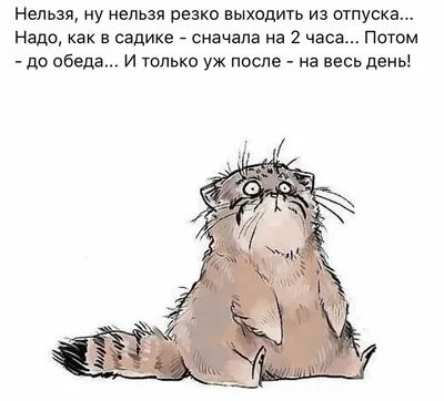 Поздравления с выходом на работу - после отпуска и на новую работу — УНИАН