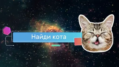 найди кота :: котэ (прикольные картинки с кошками) / смешные картинки и  другие приколы: комиксы, гиф анимация, видео, лучший интеллектуальный юмор.