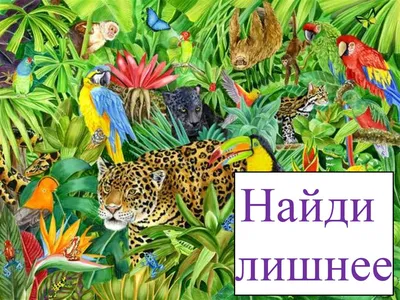 Найди лишнее.pdf | Снеговик, Зимние поделки, Развивающие упражнения