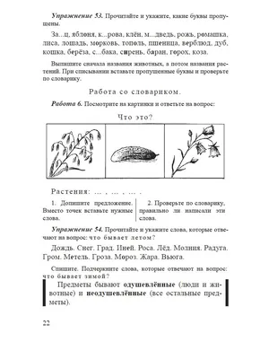 УГАДАЙ СЛОВО ПО КАРТИНКЕ — играть онлайн бесплатно