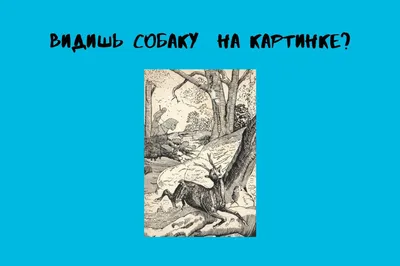 Только один человек из 10 может найти на картинке собаку: проверь себя!