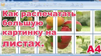 Как распечатать большую картинку на нескольких листах. А4. - YouTube