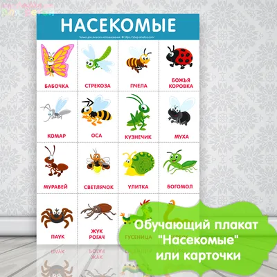 Комплект карточек \"Insects\" (\"Насекомые\") -купить карточки Домана на  английском языке-интернет-магазин-доставка по России
