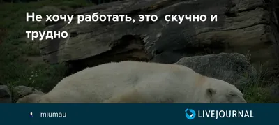 я четвертый день не хочу на работу четверг｜Поиск в TikTok