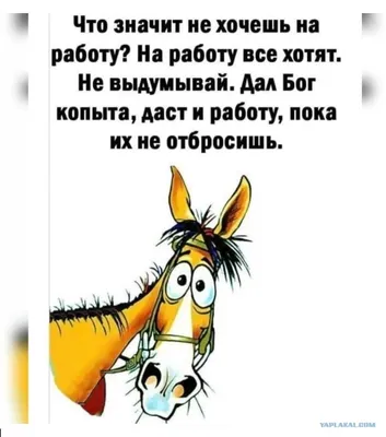 Почему я отказываю при запросах на личную работу? 1. Я не хочу вгонять  человека в кредит, чтобы научить работать с аккаунтом) Почему… | Instagram