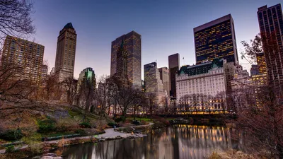 Обои сша, штат нью-йорк, нью-йорк, рокфеллеровский центр, usa, state new  york, new york, rockefeller center, парк картинки на рабочий стол, фото  скачать бесплатно