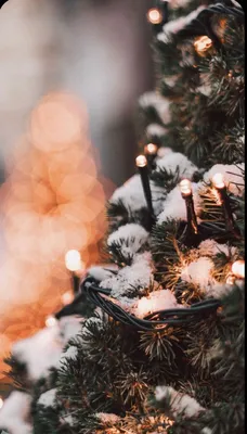 Зима - Merry Christmas - обои живые