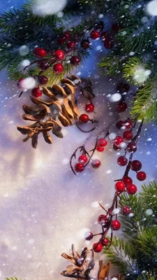 Christmas Live Wallpaper HD 5.4.1 Paid » PS Мир смартфонов