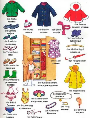 Одежда на немецком языке в картинках | DolceLingua.ru