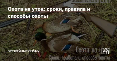 ОХОТА НА УТКУ И СЕЛЕЗНЯ - Охота в Ярославской области