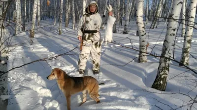 Охота на зайца» — создано в Шедевруме