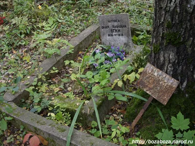 Узнайте больше о талантливой Ольге Бган через ее фотографии