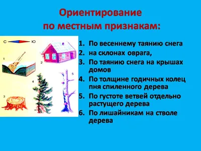 Презентация по ОБЖ на тему «ОРИЕНТИРОВАНИЕ НА МЕСТНОСТИ И ПО ПЛАНУ»