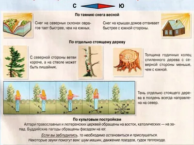 Плакат 30*40см \"Ориентирование на местности. Окружающий мир в начальной  школе\" - Элимканц