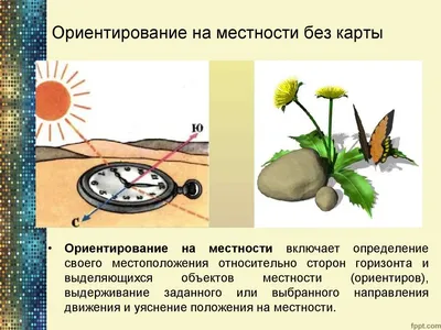 Современное Ориентирование на Местности | Пикабу