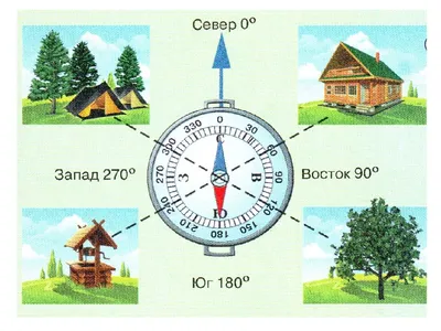 Ориентирование на местности – GBOU Schule 255