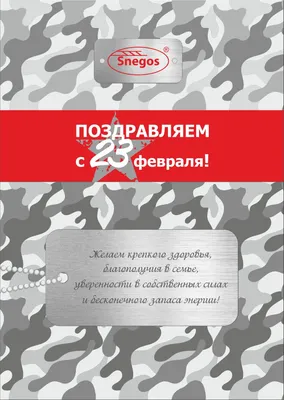 Поздравляем с 23 февраля | Смешные поздравительные открытки, Открытки,  Праздничные цитаты