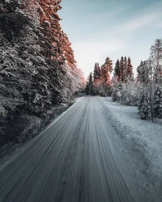 На аву | Худые девушки, Фотографии девочек, Фотографии