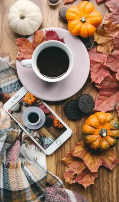 autumn wallpaper | осенние фото | осенние фотографии | обои для iPhone |  краснодар | Aesthetic desktop wallpaper, Wallpaper, Desktop wallpaper